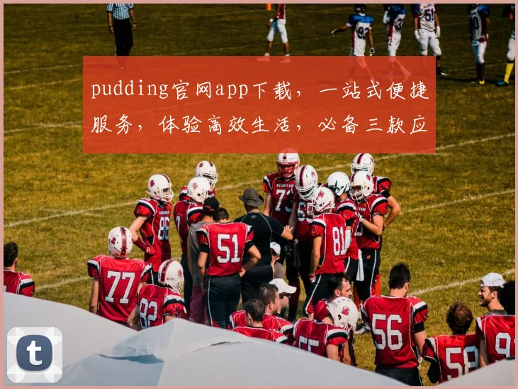pudding官网app下载，一站式便捷服务，体验高效生活，必备三款应用，速来下载