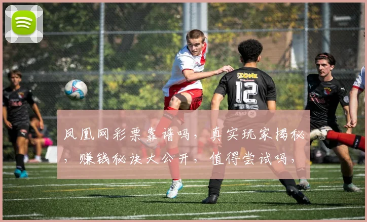凤凰网彩票靠谱吗，真实玩家揭秘，赚钱秘诀大公开，值得尝试吗，3个关键点告诉你