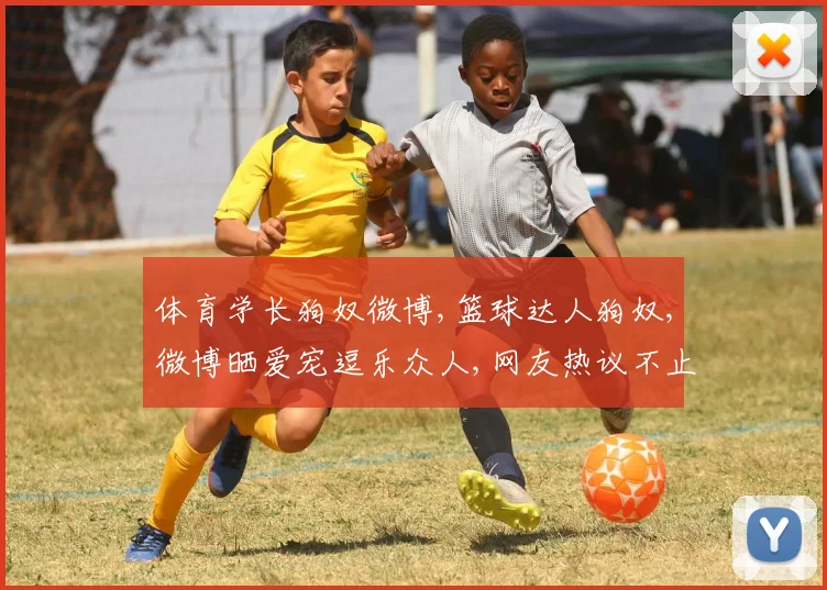 体育学长狗奴微博,篮球达人狗奴,微博晒爱宠逗乐众人,网友热议不止
