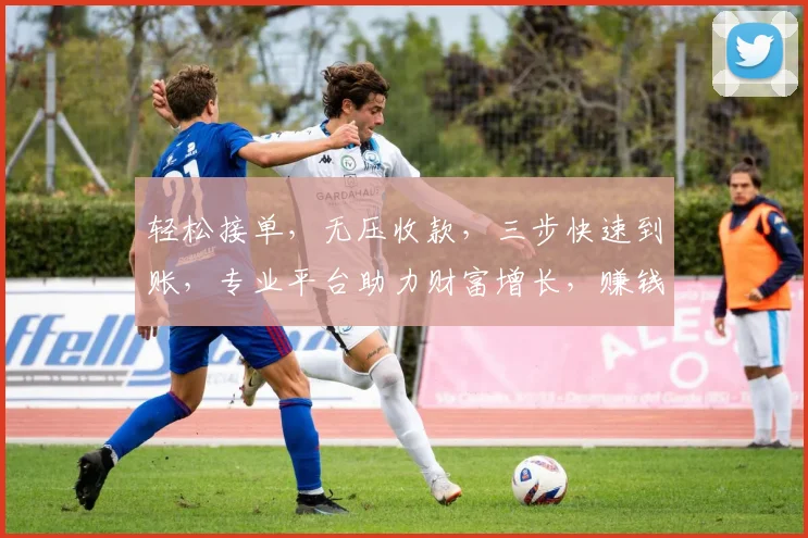 轻松接单，无压收款，三步快速到账，专业平台助力财富增长，赚钱无忧，快来体验
