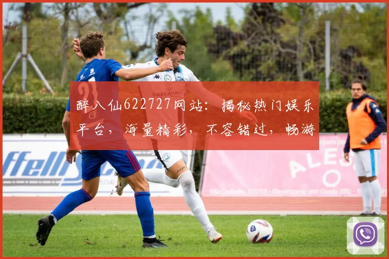醉八仙622727网站：揭秘热门娱乐平台，海量精彩，不容错过，畅游虚拟世界