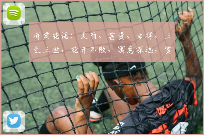 海棠花语：美丽、富贵、吉祥，三生三世，花开不败，寓意深远，赏心悦目。