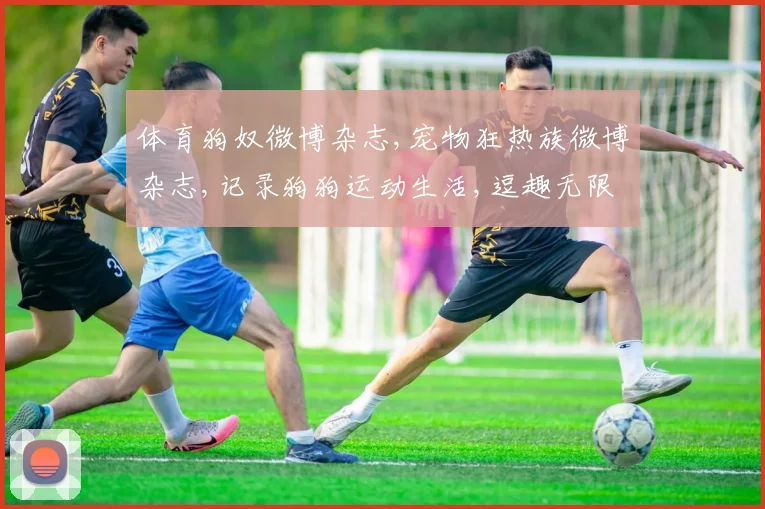 体育狗奴微博杂志,宠物狂热族微博杂志,记录狗狗运动生活,逗趣无限